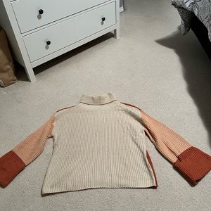 Colorblock turtleneck